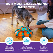 Load image into Gallery viewer, Tower of Treats