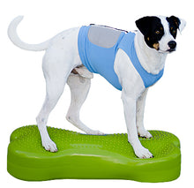 Load image into Gallery viewer, FitPaw Bone