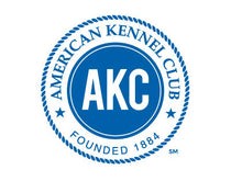 Load image into Gallery viewer, CGC (Canine Good Citizen) Prep Class