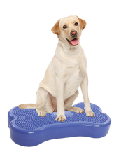 Load image into Gallery viewer, FitPaw Bone