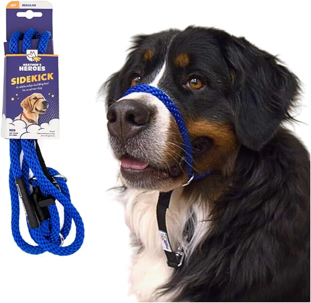 Sidekick Transitional Leash