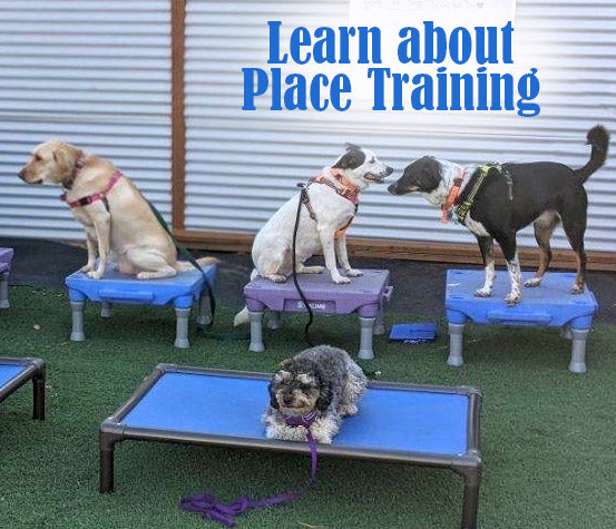 Training Classes