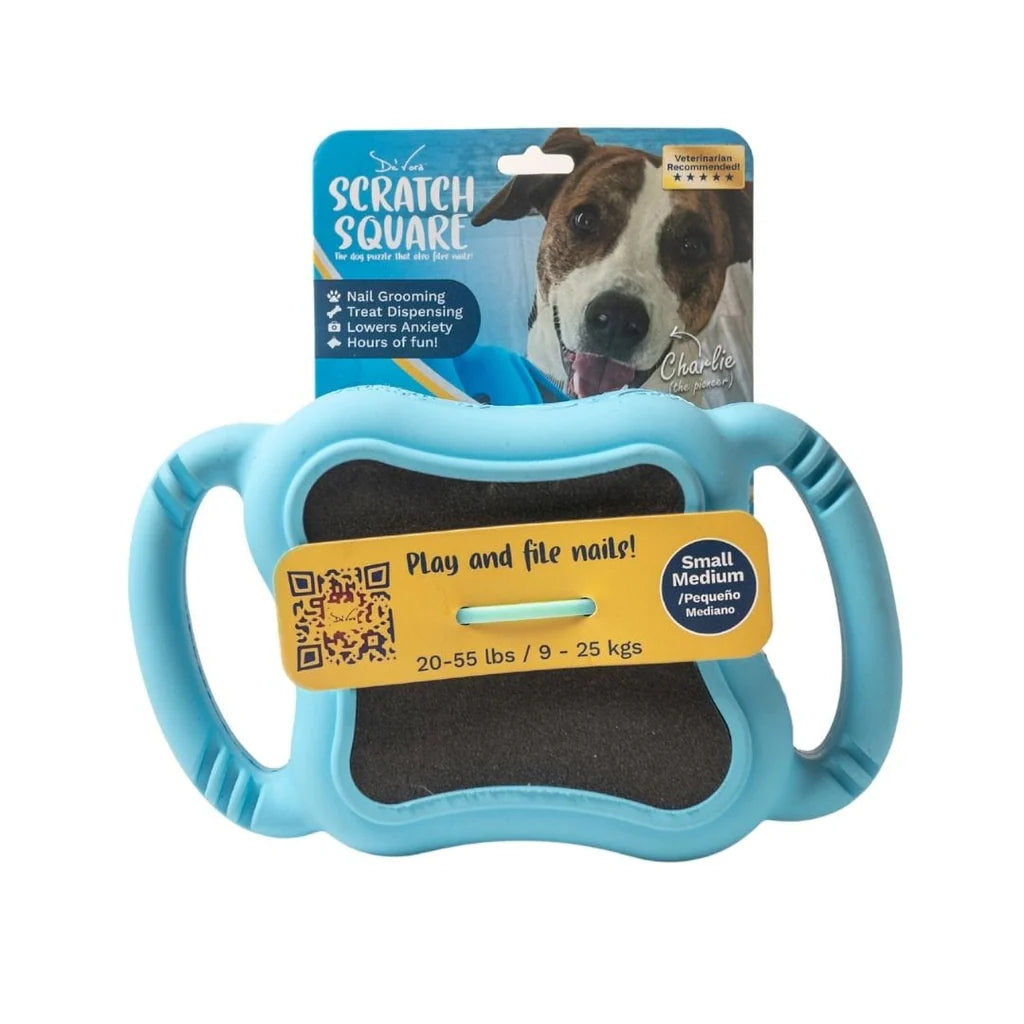 Scratch Square