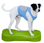 FitPaw Bone