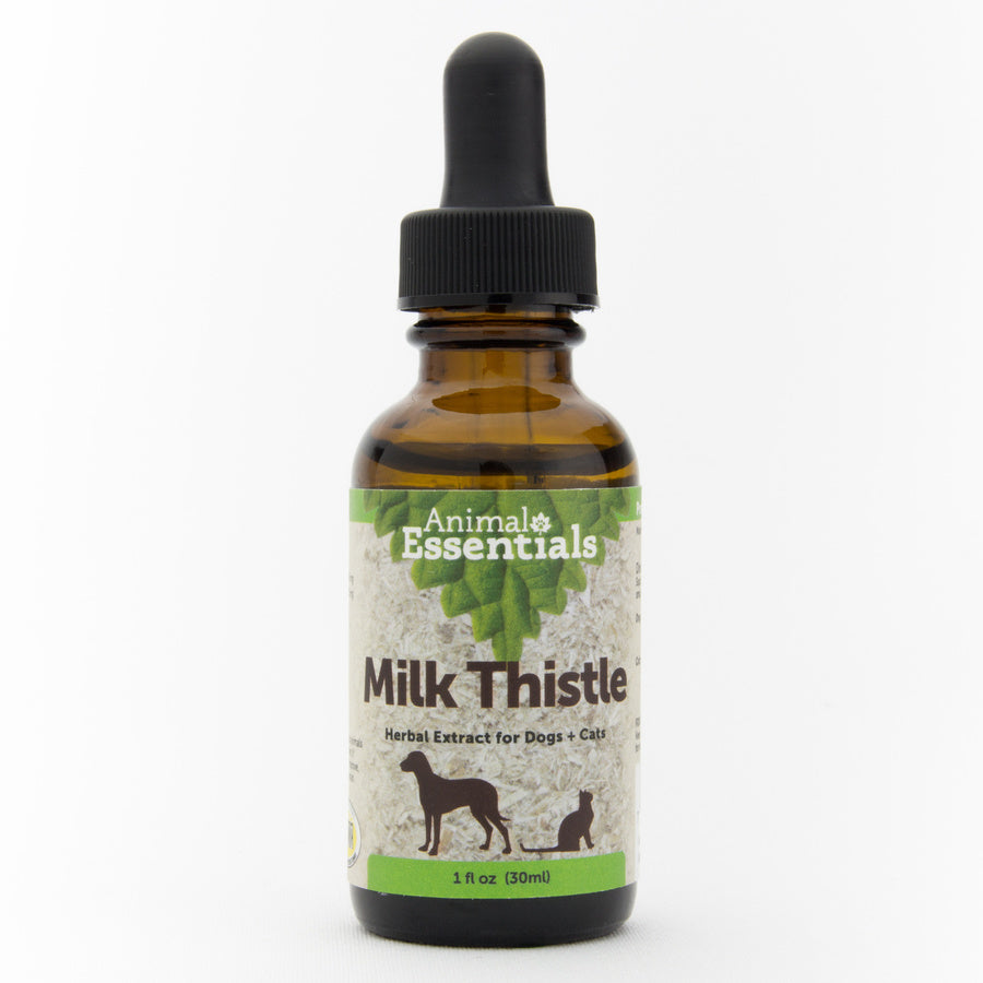 Milk Thistle