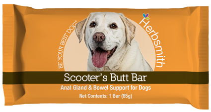 Scooter's Butt Bar