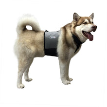 Load image into Gallery viewer, Cooling Vest &amp; Collar
