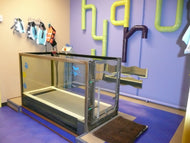 Hydro Treadmill