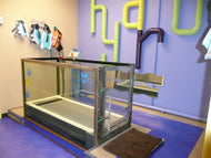 Hydro Treadmill Treatment