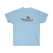 Load image into Gallery viewer, Did You Say FlyBall? Ultra Cotton Tee
