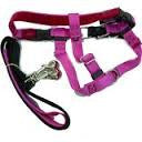 Freedom Harness